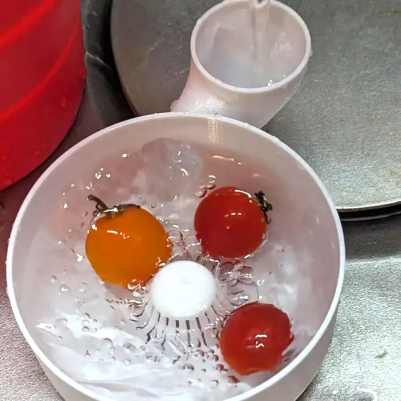 Fruit Spinner Portable Fruit W - 3D Printing In Food ulasan dan harga