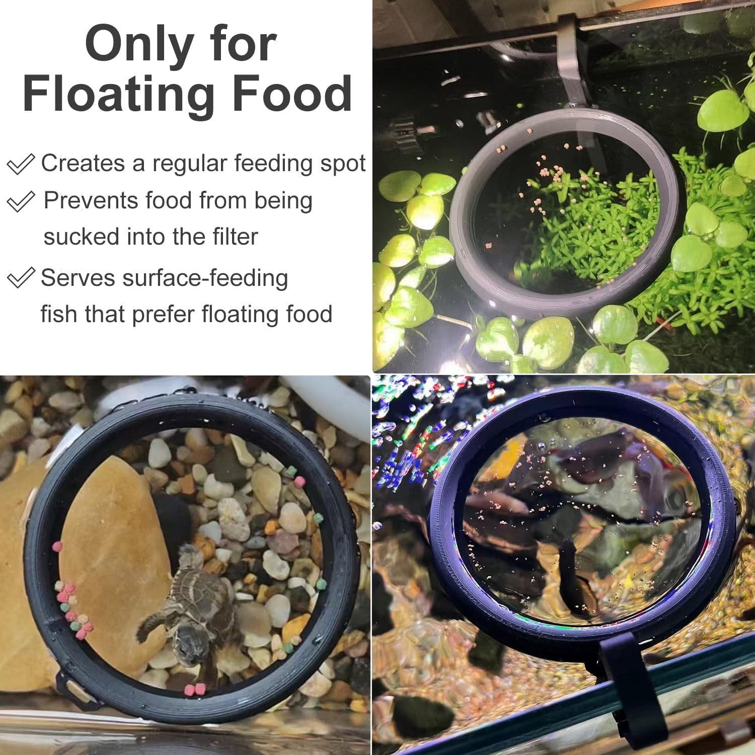 3D Printed Fish Feeding Ring F - 3D Printing In Food ulasan dan harga