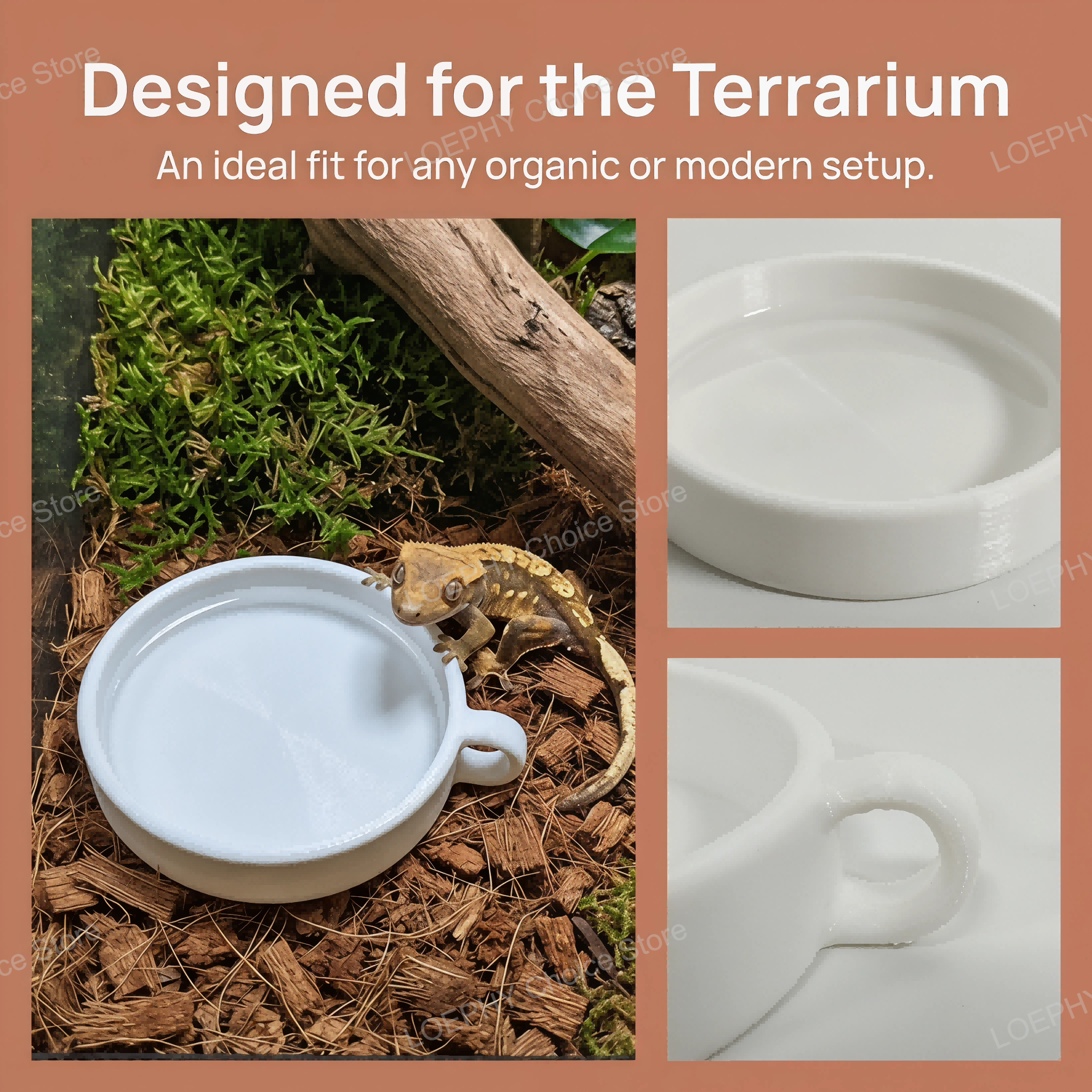 Reptile Desk Shelter Hideout 3 - 3D Printing In Food ulasan dan harga