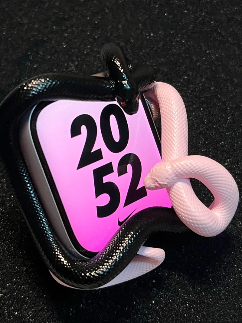 Snake Resin Material Watch Cas - 3D Printing Design Software ulasan dan harga