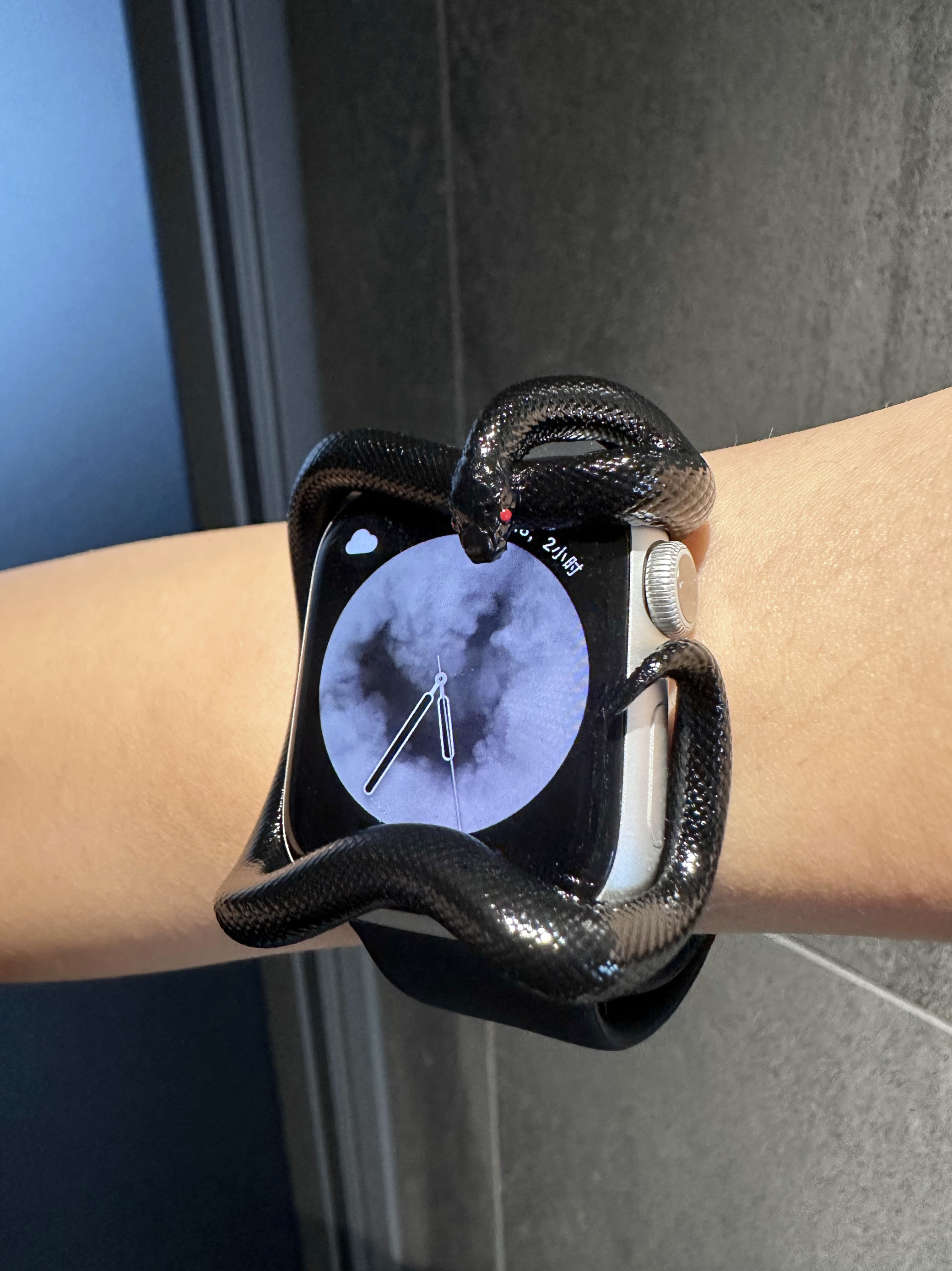 Snake Resin Material Watch Cas - 3D Printing Design Software ulasan dan harga